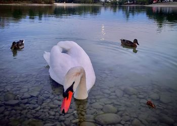 “Moć vode” u galerijskom prostoru Centra za mlade