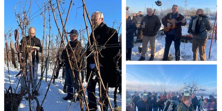 Vincekovo obilježeno u vinogradu obitelji Jantolić u Samoborskom Otoku