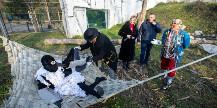 Sraka sim, Sraka tam, valda bu zišla i van?
