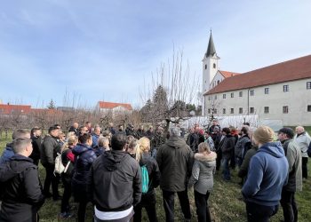 Kako pravilno orezati i zaštititi voćke