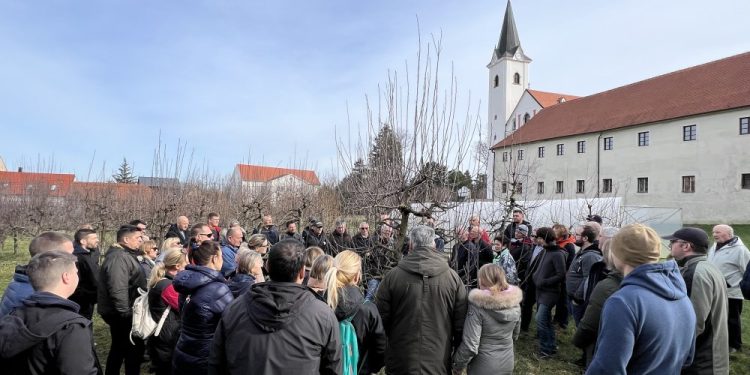 Kako pravilno orezati i zaštititi voćke