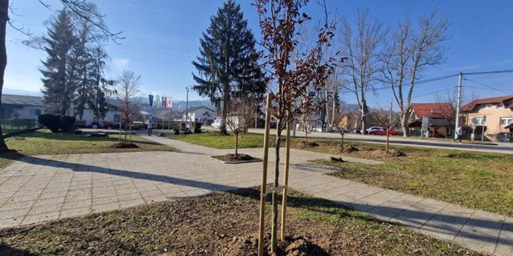 Nova stabla i kućice za ptice na području Samobora