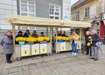 “Dan narcisa” uz Etno fletno u Samoboru