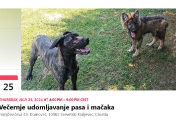 S dr. vet. Tatjanom Zajec o aktivnostima i akcijama Skloništa za nezbrinute životinje Dumovec