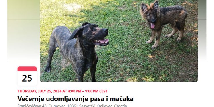 S dr. vet. Tatjanom Zajec o aktivnostima i akcijama Skloništa za nezbrinute životinje Dumovec