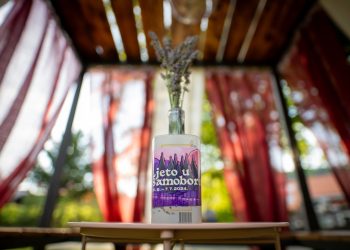 Završnica “Ljeta u Samoboru”