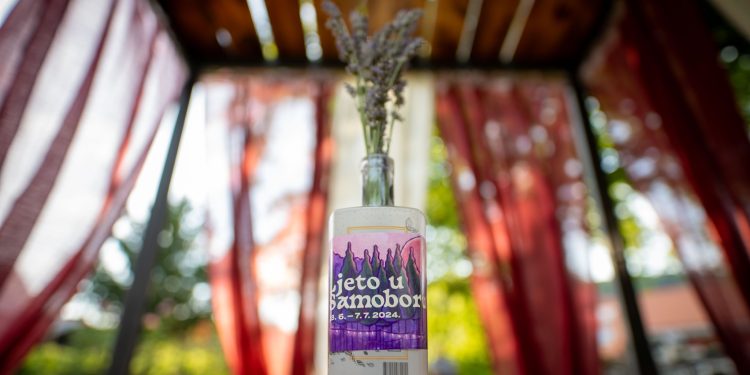 Završnica “Ljeta u Samoboru”
