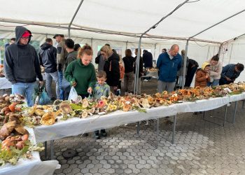 Eno-gastro kutak za Dan grada – od greblice i češnofki preko vina i bermeta do gljiva i kotlića