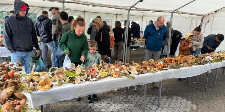 Eno-gastro kutak za Dan grada – od greblice i češnofki preko vina i bermeta do gljiva i kotlića
