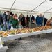 Eno-gastro kutak za Dan grada – od greblice i češnofki preko vina i bermeta do gljiva i kotlića