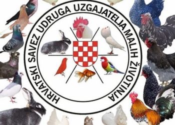 S predsjednikom Hrvatskog saveza udruga uzgajatelja malih životinja Mihaelom Pavišićem o nacionalnoj izložbi i djelatnostima saveza