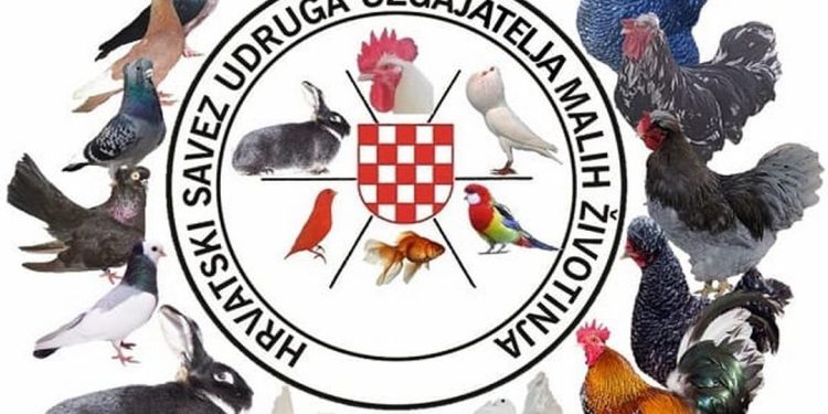 S predsjednikom Hrvatskog saveza udruga uzgajatelja malih životinja Mihaelom Pavišićem o nacionalnoj izložbi i djelatnostima saveza