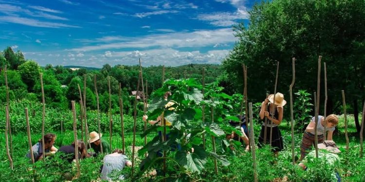 Upoznajemo aktivnosti ZMAG-a i pričamo o zaštiti Samoborskog fašnika