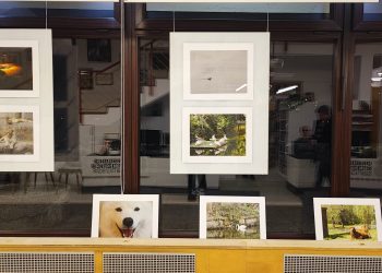 “Životinjsko carstvo” u Gradskoj knjižnici