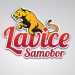 Sesvete prejake za “Lavice”