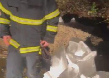 Pripravnost zbog moguće poplave