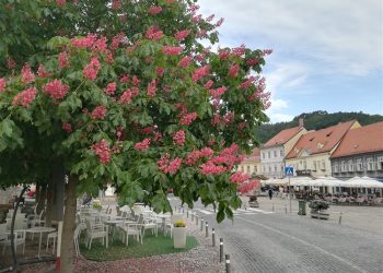 Počelo zaprimanje prijava za “Baka – djed servis”