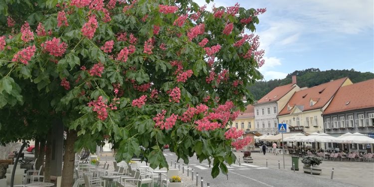 Počelo zaprimanje prijava za “Baka – djed servis”