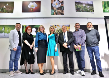 “Najljepši šumski ukrasi” izloženi na Autobusnom kolodvoru