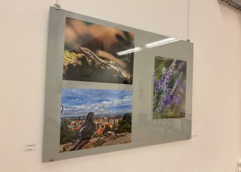 Izložba “Otisci na Zemlji”