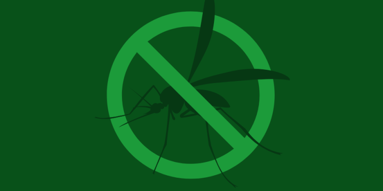 Ovaj tjedan prva dezinsekcija komaraca