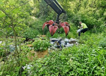 Čišćenje šume i podjela kompostera