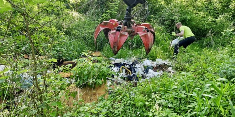 Čišćenje šume i podjela kompostera