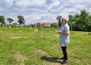 Voće, voćnjak i mladi agronomi