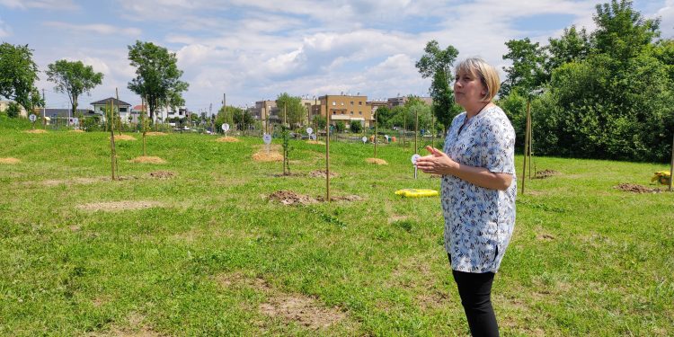Voće, voćnjak i mladi agronomi