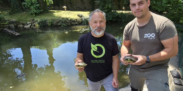 Slatke, ali opasne kornjače