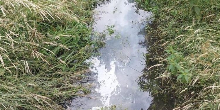 Deveti ovogodišnji larvicidni tretman suzbijanja komaraca