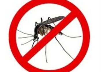 Još jedan adulticidni tretman komaraca