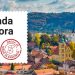 Bogat program za 783. rođendan