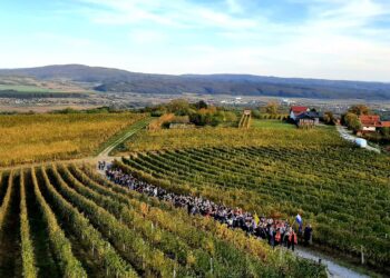 Planinarski križni put mladih kroz Zlatnu dolinu
