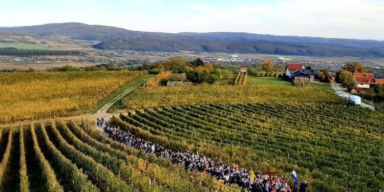 Planinarski križni put mladih kroz Zlatnu dolinu