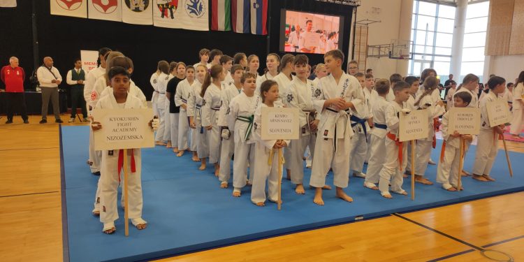 Borilački duh u čast Branku Bošnjaku