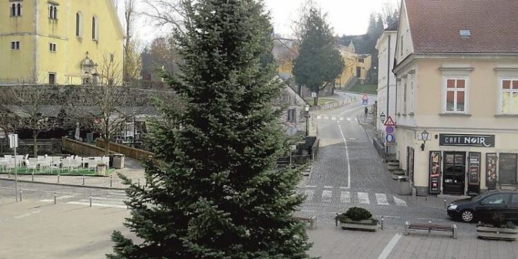 Darujte božićno drvce za središnji gradski trg