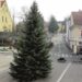 Darujte božićno drvce za središnji gradski trg