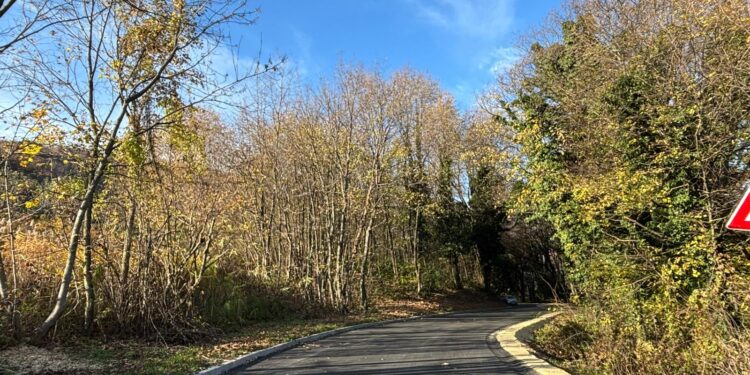 Novo ruho ceste od Prekrižja do Braslovja