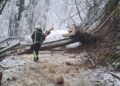 Uklanja se porušeno drveće i granje s prometnica