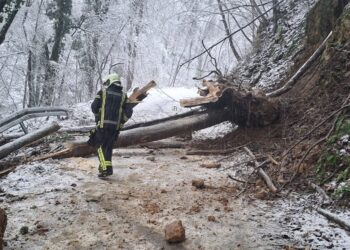 Uklanja se porušeno drveće i granje s prometnica