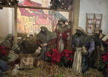 Bijeli Božić u Samoboru