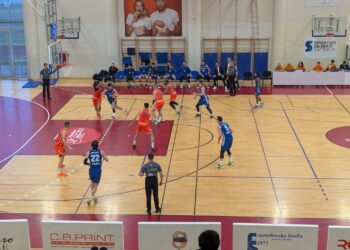 Sjajna predstava “Risova”