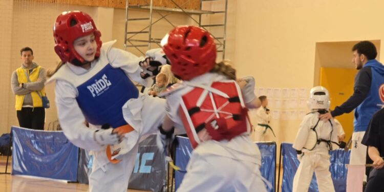 10 medalja na Krokić kupu