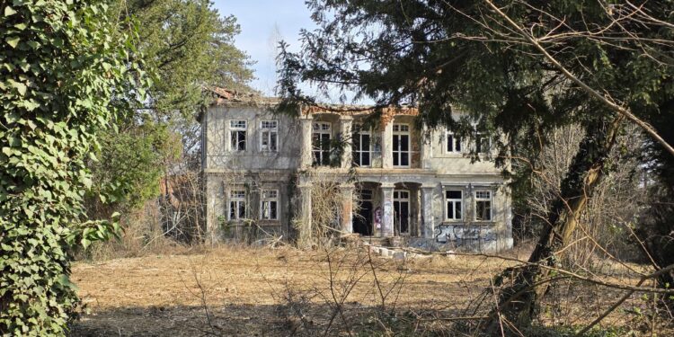 Počelo čišćenje okoliša vile Wagner