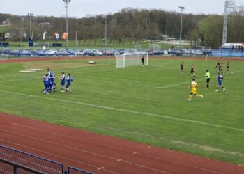 Kobre svladale Stupnik