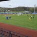 Kobre svladale Stupnik