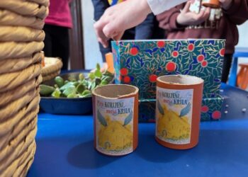 „Moji korijeni, moja krila“ – utjecaj baštine na budućnost