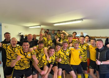 Tigar Sveta Nedelja svladao Trešnjevku