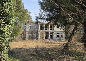 Radovi na okolišu Vile Wagner